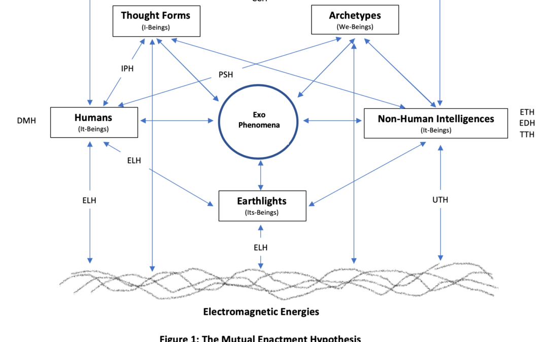 The Mutual Enactment Hypothesis